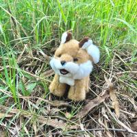 ราคา ตุ๊กตาสุนัขจิ้งจอกท่านั่ง Red fox ตุ๊กตาหมาจิ้งจอกแดง ตุ๊กตาสุนัขจิ้งจอกสีน้ำตาลน่ารัก หมาจิ้งจอก จิ้งจอกแดง Fox (25690987629)