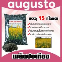 ราคา เมล็ดพันธุ์ปอเทือง บรรจุ 15กิโลกรัม เมล็ดปอเทือง ต้นปอเทือง พันธุ์ปอเทือง เม็ดพันธุ์ปอเทือง ดอกปอเทือง เม็ดปอเทือง (24387578526)