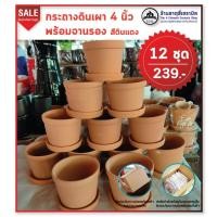 ราคา กระถางดินเผา 4 นิ้ว สีดินแดง พร้อมจานรอง 12 ชุด (3436770587)