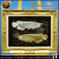 ราคา กรอบหลุยส์สีทอง+ผ้ากำมะหยี่ปลามังกร ขนาดรูป 15x21นิ้ว ดอกหลุยส์ใหญ่ขนาดกรอบพร้อมรูปภาพ 69cmx54cm (2297886783)