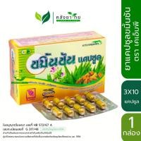 ราคา ขมิ้นชัน ตรา KMP แก้วมังกรเภสัช 30 แคปซูล พร่อมส่ง (25673189303)