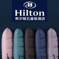 ราคา หมอนโรงแรม…Premium หมอนที่ระดับโรงแรม (15976629209)