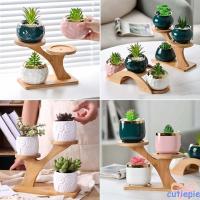 ราคา ที่วางไม้ไผ่ Cutie สําหรับบอนไซ Succulent 3 ชั้นขายึดกระถางดอกไม้ (40652041662)
