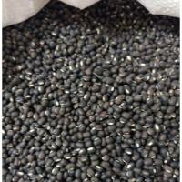 ราคา ถั่วแขก, ถั่วเพาะงอก ถั่วแขกพม่า อัตรางอก 95% ปี 2025 ขนาด 1000 กรัม (6978213690)