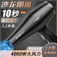 ราคา ไดร์เป่าผม ไดรเป่าผม ไดร์เป่าผมที่บ้านร้านทําผมช่างทําผมร้านตัดผมร้านตัดผมพิเศษพลังงานสูง 3000w ไออ (28862520852)