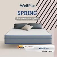 ราคา Wellplus [อัดสุญญากาศ] ที่นอนสปริง รุ่น Spring หนา 8 นิ้ว คุณภาพ ลดแรงสั่นสะเทือน (25954932934)