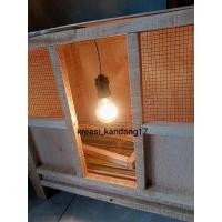 ราคา ไฟสําหรับลูกไก่ / ไฟไก่พร้อม (43274791516)