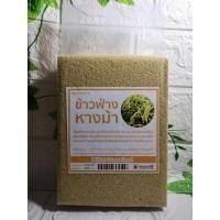 ราคา ข้าวฟ่างหางม้าธัญพืชเพื่อสุขภาพพันธ์ 1000 กรัม (7007900255)