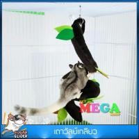 ราคา บ้าน ชูการ์ไกรเดอร์ Sugar glider เถาวัลย์เกลียว (7460612801)