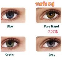 ราคา FreshLookสี รายวัน (106778293)