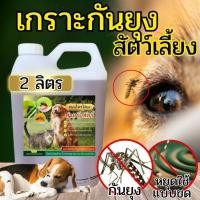 ราคา WELDY สเปรย์ ตะไคร้หอมไล่ยุง น้ำยาไล่ยุง สูตรออแกร์นิค ขนาด 2 ลิตร สเปรย์กันยุง สเปรย์ตะไคร้หอมไล่ยุง (28182390888)