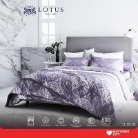 ราคา LOTUS Quilt นวม ขนาด 70x90 นิ้ว รุ่น Soho รหัส LT-SO-03 (11185628457)