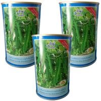 ราคา เมล็ดพันธุ์ถั่วพูตรางอบทอง ขนาด 100 กรัม ตรางอบทอง (26092888588)