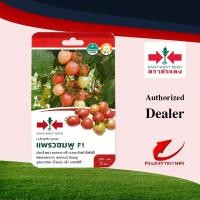 ราคา เมล็ดพันธุ์ตราศรแดง เมล็ดพันธุ์มะเขือเทศสีดาลูกผสม แพรวชมพู F1 #เมล็ดพันธุ์ตราศรแดง #เมล็ดพันธุ์มะเขือเทศสีดาลูกผสม (5556324649)