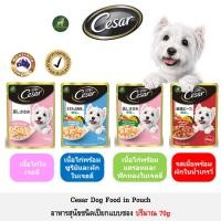 ราคา [โปร] Cesar Pouch ซีซาร์ อาหารเปียกสำหรับสุนัข ชนิดซอง ปริมาณ 70g **อ่านรายละเอียดก่อนสั่ง** (10268660831)