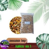 ราคา อาหารนก อาหารนกเขาใหญ่ ขนมนก ข้าวนก อาหารนกพิราบ อาหารนกเขา อาหารนกเขาใหญ่ ขนาด 1 กิโลกรัม (17530201844)