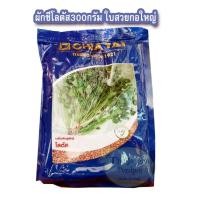 ราคา ผักชีโลตัส300กรัม ใบสวยกอใหญ่ เจียไต๋ (16167504515)
