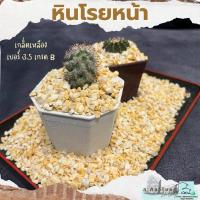 ราคา หินโรย เกล็ดเหลือง เกรด B เบอร์ 3.5 บรรจุ 500 g. หินโรยกระถาง หินโรยหน้ากระถาง หินตกแต่งสวน หินแคดตัส (22719508077)