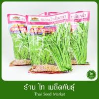 ราคา ผักบุ้ง เพชรตะวัน 888 คัดพิเศษ ใบเรียวยาวพิเศษ เมล็ดพันธุ์ ผักบุ้งจีน ตราตะวันต้นกล้า บรรจุ 1 กิโลกรัม (26892418543)