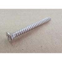 ราคา สกรูเกลียวปล่อยเหล็กสีโครเมี่ยมหัวFขนาด#7x1 1/2นิ้ว1000ตัว/กล่อง (2583117787)