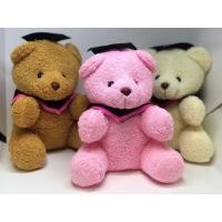 ราคา ตุ๊กตาหมีปริญญาขนาด9นิ้ว (7856132674)