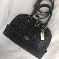 ราคา ‼️Sale‼️โดมหนังแก้วสีดำล้วน (663433795)