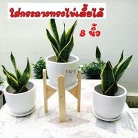 ราคา กระถางดินเผา 8 นิ้ว ((พร้อมจานรอง)) กระถางมินิมอล (7193565896)