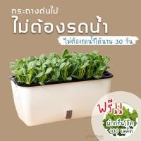 ราคา กระถางปลูกต้นไม้ กระถางต้นไม้ ทรงยาว รดน้ำอัติโนมัติ พลาสติก (6843046796)