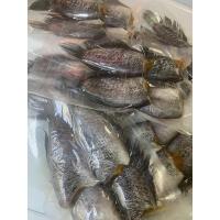 ราคา ปลาสลิดบางบ่อ แดดเดียว (9265398095)