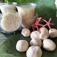 ราคา แป้งข้าวหมากหวาน เบอร์๑ เชื้อสาโท เชื้อข้าวหมาก มีสูตรการทำให้ แป้ง 1 ลูกต่อข้าว 2 กิโล สูตรนี้เฉพาะของทางร้านเท่านั้น (21283200280)