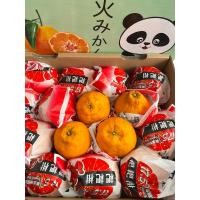 ราคา ส้มจุก (กล่องเขียวมิ้นต์ ตราหมีแพนด้า) จำนวน 12-16 ลูก (25382652532)