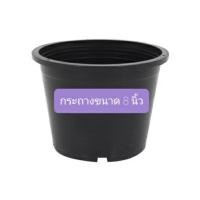 ราคา กระถาง ขนาด 8 นิ้ว กระถางต้นไม้ กระถางพลาสติก สีดำ ปากกว้าง 7.5 นิ้ว (12444588336)