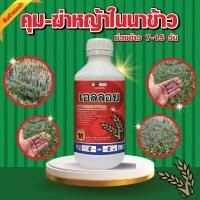 ราคา ของแท้!! ยาคุมหญ้า เอลลอย (บิวทาคลอร์+โพรพานิล) ยาคุม ฆ่าหญ้า ยาคุมหญ้า สารกำจัดวัชพืช งอก คุม+ฆ่าหญ้า ในน (26968144106)