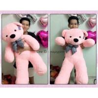 ราคา เปลือกนอกตุ๊กตาหมี ขนาด 1.2 เมตร ไม่มีใส้ใน (ไม่มีใยสังเคราะห์) (352099596)