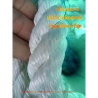 ราคา เชือกโพลีเอสเตอร์ Polyester เกรด A สีขาว 24 mm. ลากต้นไม้ ลากเรือ เชือกยกเสาไฟฟ้า (8915785507)