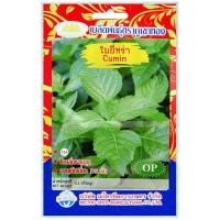 ราคา เมล็ดพันธุ์ ใบยี่หร่า ภูเขาทอง (43758565217)