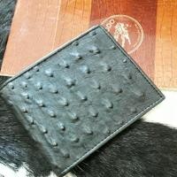ราคา stingray skin pocket coinกระเป๋าใส่เหรียญหนังปลากระเบน (8975936004)