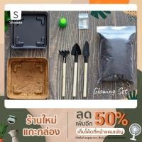 ราคา ชุดปลูกผักเรดโอ๊ค ออร์แกนิค (10429033036)