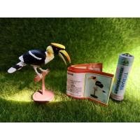 ราคา Gachapon กาชาปองนกเงือกเกาะคอน โมเดลสัตว์ (5978798856)