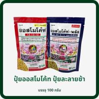ราคา ออสโมโค้ท 13-13-13, ออสโมโค้ทพลัส 12-25-6+1% mg+ สตาร์เกิลจี ปุ๋ยละลายช้า ปุ๋ยเเคคตัส cactus กระบองเพชร (Osm (4953412556)