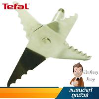 ราคา TEFAL ใบมีดน้ำ BL116 รุ่น 5957013 (5393) (219727376)