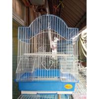 ราคา กรงนก ชูก้า กระรอก ทรงสวยงาม กรงนก Shobi (5602632358)