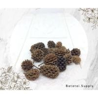 ราคา เมล็ดจิ๋ว Duren ชนบท - คละสี (42722049250)