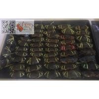 ราคา สอบถามก่อนสั่งซื้อ!! ปูแต่ละวันอาจไม่ครบทุกไซส์นะคะ ปูไข่สดใหม่ เนื้อแน่น (7511038001)