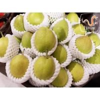 ราคา สาลี่หอม Fragrant Pear (6ลูก/8ลูก) (CHN) นำเข้า ~ลดพิเศษ~ส่งฟรี~ หอม อร่อย ! ผลไม้ต่างประเทศ ผลไม้พรีเมี่ยม ผลไม้นอก (7630294576)