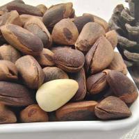 ราคา ถั่วเมล็ดสน ไพน์นัท (Pine Nut) สำหรับนกแก้วทุกชนิด (ขนาดใหญ่) มีขนาดครึ่งกิโล และ 1 กิโล (43271956015)