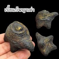 ราคา SHLK]01เบี้ยแก้พญาเต่าเรือน หลวงปู่บุญ วัดกลางบางแก้ว เป็นเบี้ยแก้บรรจุปรอทถักเชือกสายสินลงลักเป็นรูปพญาเต่าเรือน (18589809932)