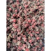 ราคา กระเจี๊ยบแห้ง กระเจี๊ยบตากแห้ง กระเจี๊ยบอบแห้ง น้ำหนัก 500 กรัม (25902893733)