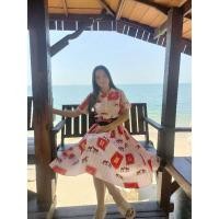 ราคา เดรสอัดพรีสสีโอรสสวย (13979286304)