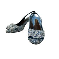 ราคา BRUNO MAGLI 5 1 2 Mule Shoe Blue Women Direct from Japan Secondhand (26736040850)